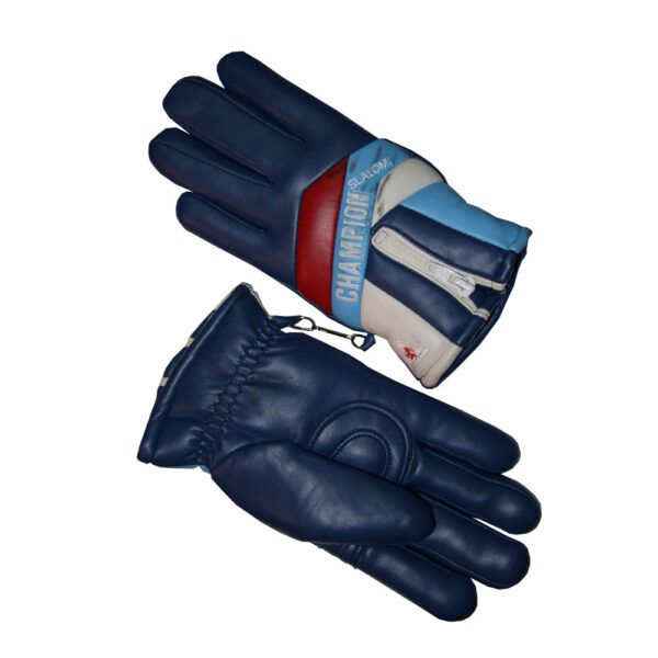 Guanti-Sci-Ski-gloves_NORMAL_3055